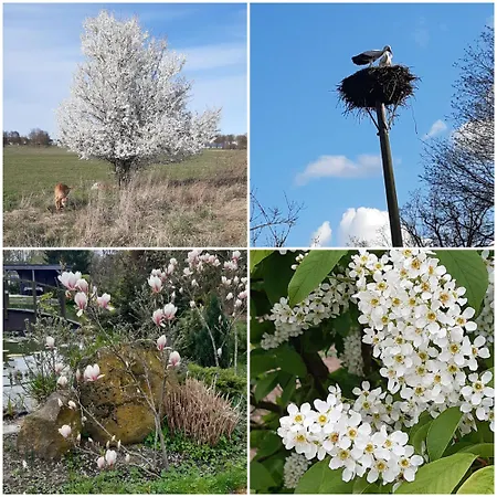 Sonnenaufgang Im Ruppiner Land *