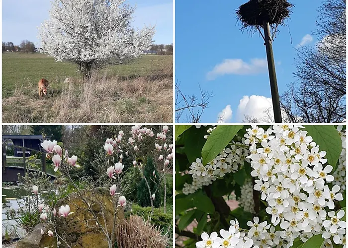 Sonnenaufgang Im Ruppiner Land *